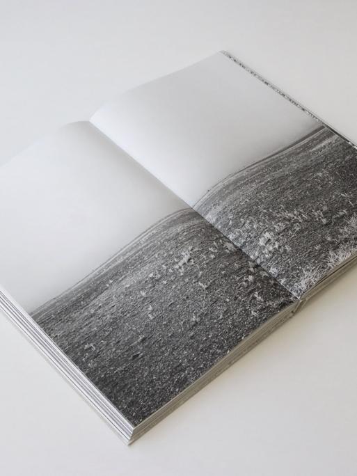 Das Schwarzweißfoto eines Feldes erstreckt sich über eine komplette Doppelseite des aufgeschlagenen Bildbands "Buchenwald".