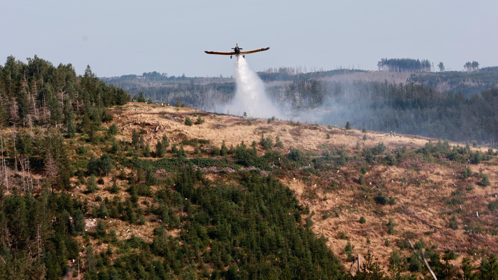 Ein Löschflugzeug lässt Wasser über einer Waldbrandfläche im Harz ab.