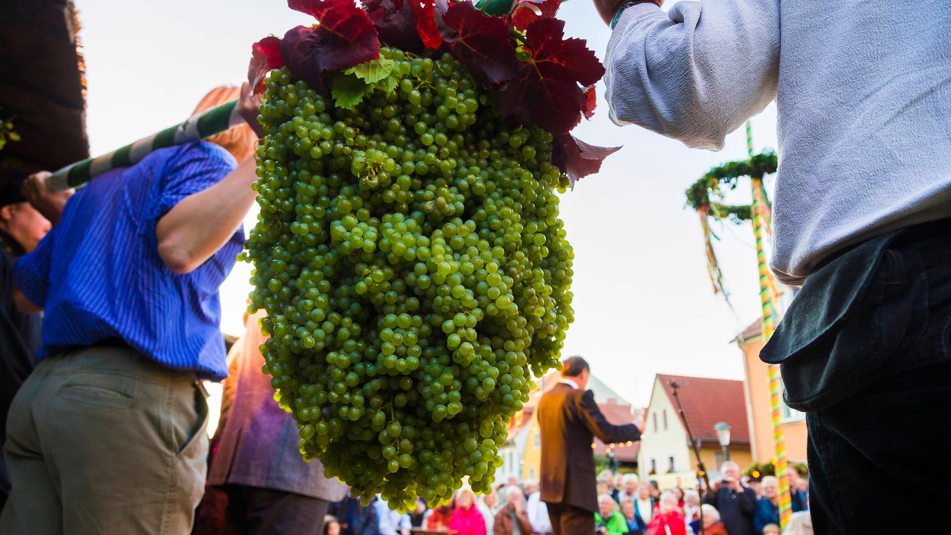 23. Auflage des Herbst- und Weinfestes In Radebeul. Nach dem traditionellen Festumzug eröffneten die sächsische Weinkönigin Annegret I. und Weingott Bacchus das Fest. Die Weinfestbesucher in Radebeul wurden von 30 Winzern aus dem sächsischen Elbtal, dem tschechischen Anbaugebiet Melnik, aus dem sachsen-anhaltischen Saale-Unstrut-Gebiet und vom Gut Pesterwitz versorgt. 