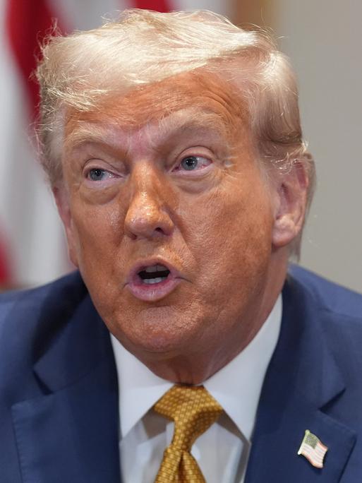 Donald Trump spricht in einer Kabinettssitzung im Weißen Haus.