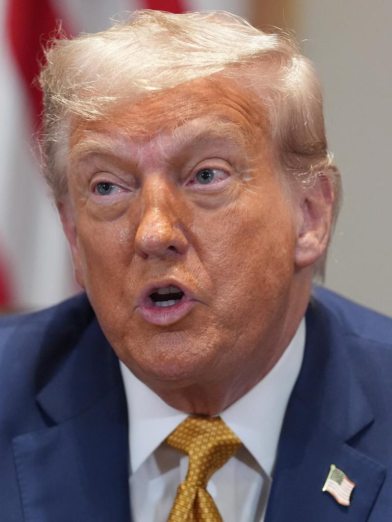 Donald Trump spricht in einer Kabinettssitzung im Weißen Haus.