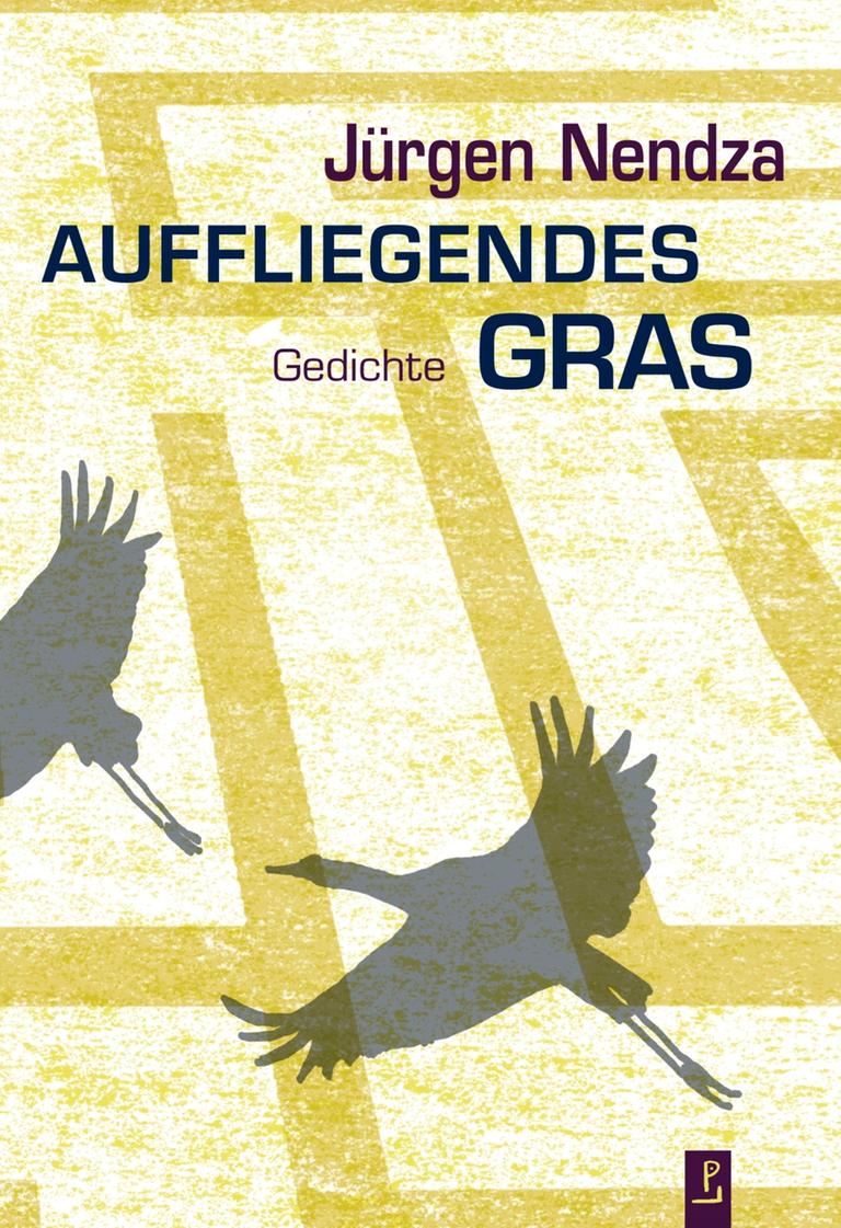 Das Cover des Buches von Jürgen Nendza, "Auffliegendes Gras". Es zeigt die Schatten großer Vögel im Flug, auf dem Boden ist ein Muster zu erkennen.