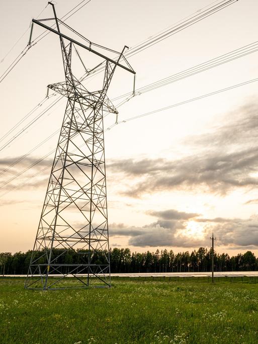 Eine Strommast für eine Überlandleitung steht in Estland auf einer leeren Wiese. 