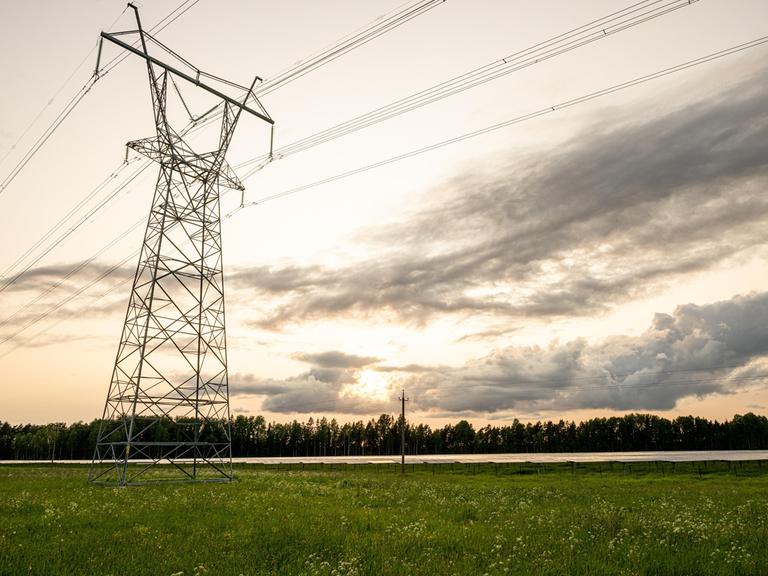 Eine Strommast für eine Überlandleitung steht in Estland auf einer leeren Wiese. 