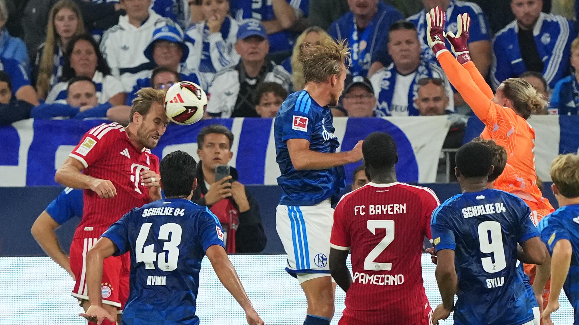 Harry Kane köpft den Ball auf das Schalker Tor von Keeper Loris Karius. Harry Kane köpft den Ball auf das Schalker Tor von Keeper Loris Karius.