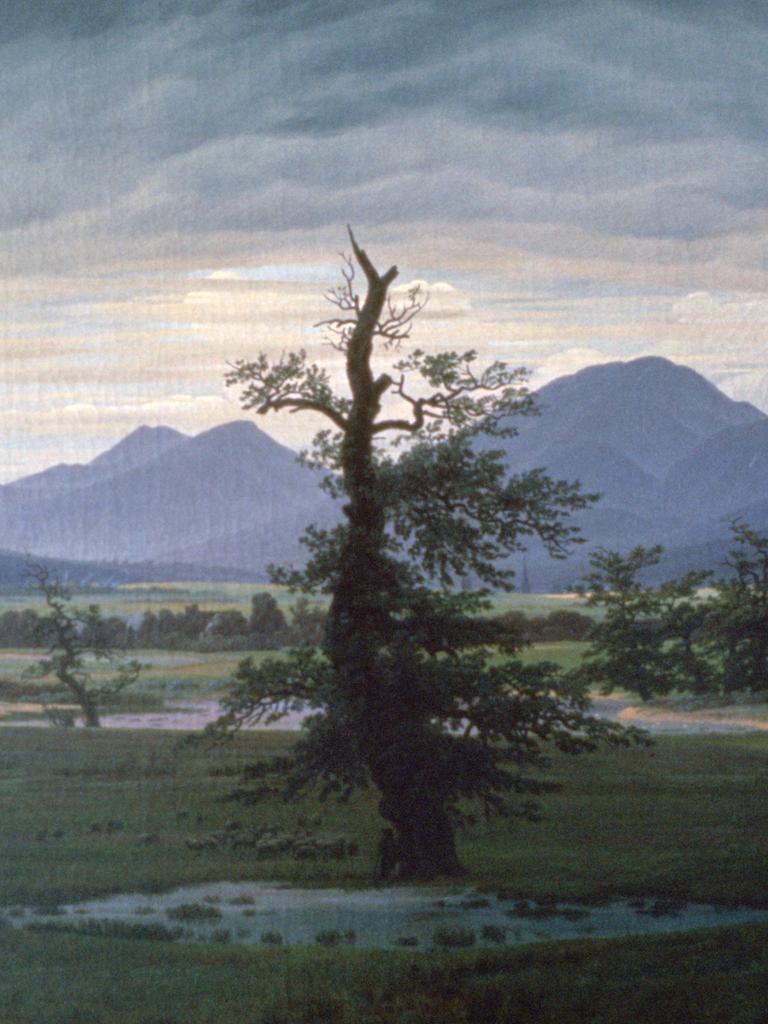 Die "Dorflandschaft bei Morgenbeleuchtung" von Caspar David Friedrich zeigt einen einsamen knorrigen Baum in Mitten einer großen Wiesenlandschaft. Im Hintergrund: Berge.