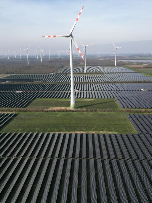 In einem Wind- und Solarpark stehen aufgereiht Windräder und große Flächen mit Solarpanels.