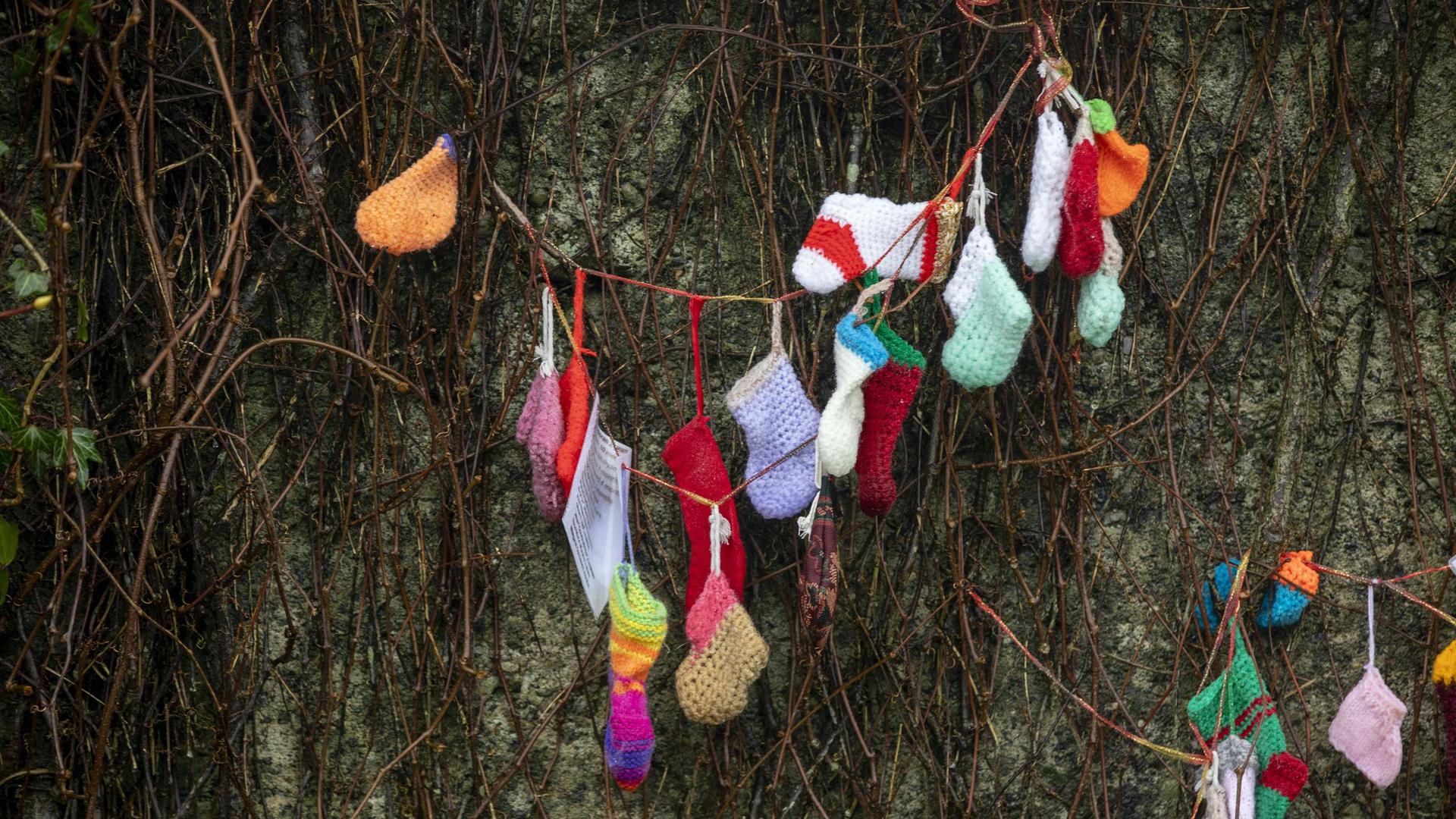 Bunte gestrickte Babysocken hängen in Geäst an einer Hauswand. Bunte gestrickte Babysocken hängen in Geäst an einer Hauswand.