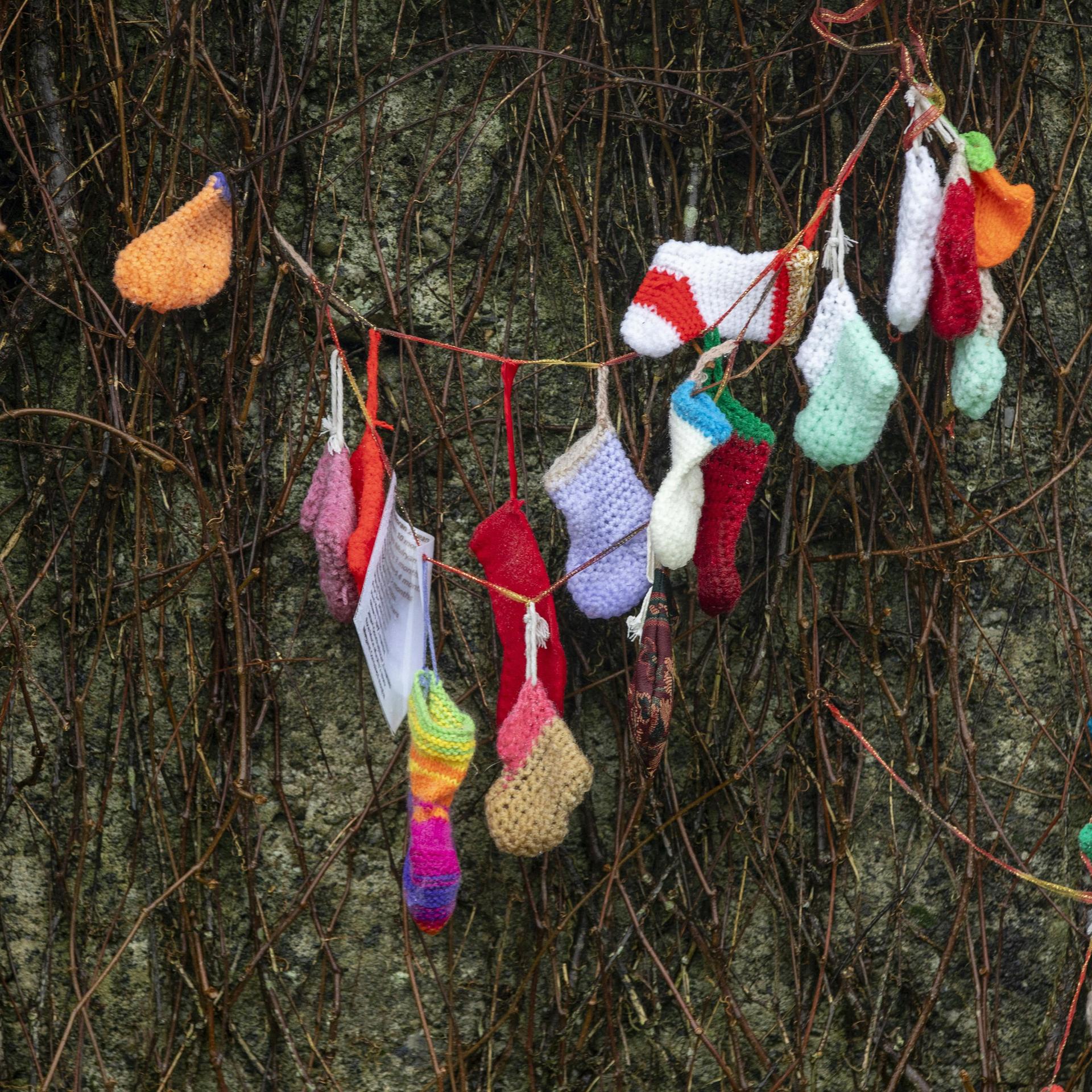 Massengrab in Tuam - Die Suche nach Irlands verlorenen Kindern