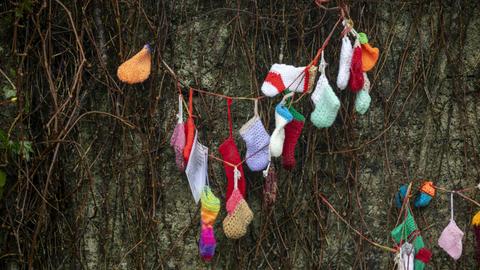 Bunte gestrickte Babysocken hängen in Geäst an einer Hauswand.