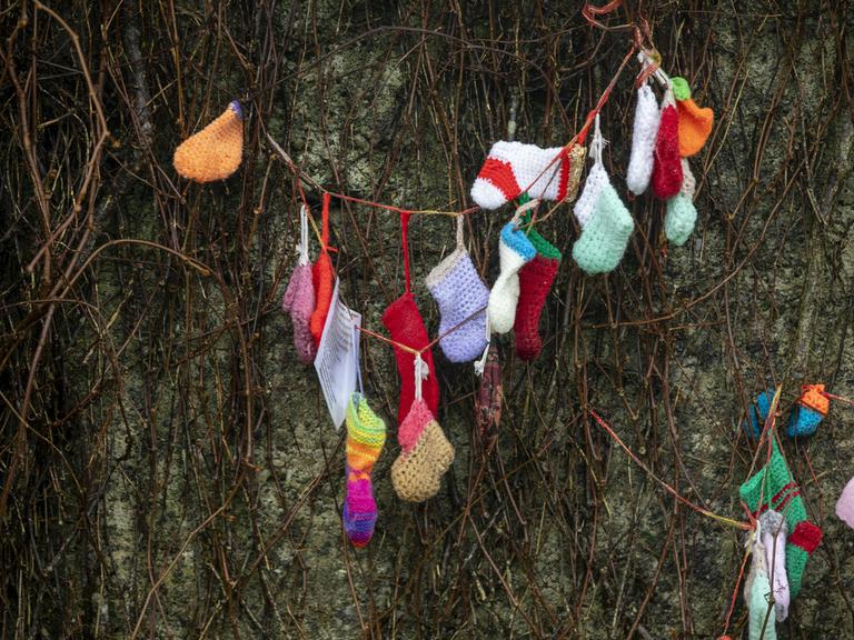 Bunte gestrickte Babysocken hängen in Geäst an einer Hauswand.