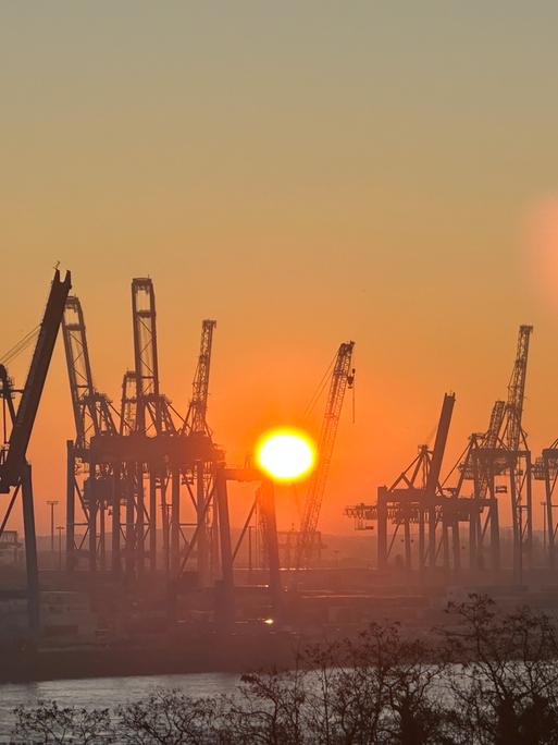 Mehrere Kräne stehen auf einem Containerhafen. Die Sonne geht unter.