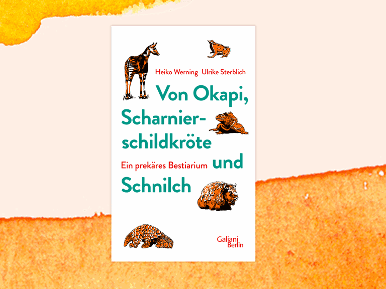 Cover des Buchs "Von Okapi, Scharnierschildkröte und Schnilch. Ein prekäres Bestiarium".