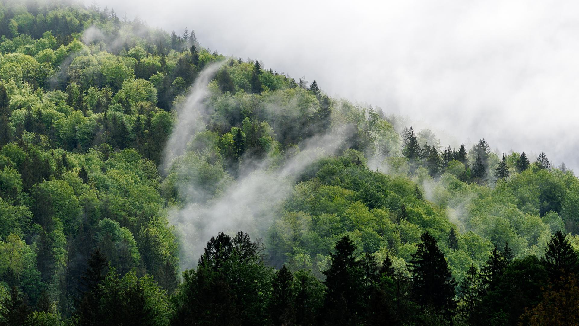 Regenwolken und Nebelschwaden hängen in den Bergen im Voralpenland bei Benediktbeuern (Bayern).