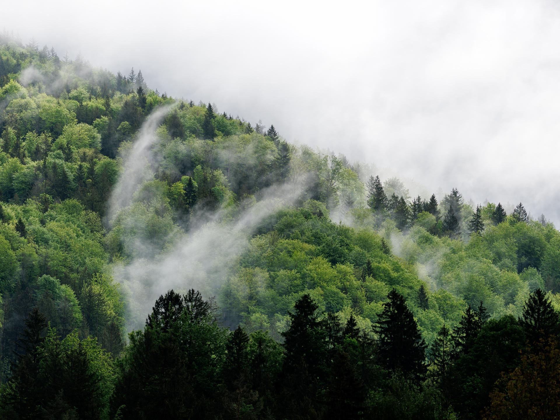 Regenwolken und Nebelschwaden hängen in den Bergen im Voralpenland bei Benediktbeuern (Bayern).