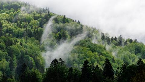Regenwolken und Nebelschwaden hängen in den Bergen im Voralpenland bei Benediktbeuern (Bayern).