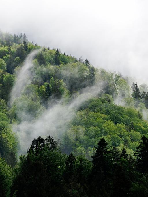 Regenwolken und Nebelschwaden hängen in den Bergen im Voralpenland bei Benediktbeuern (Bayern).