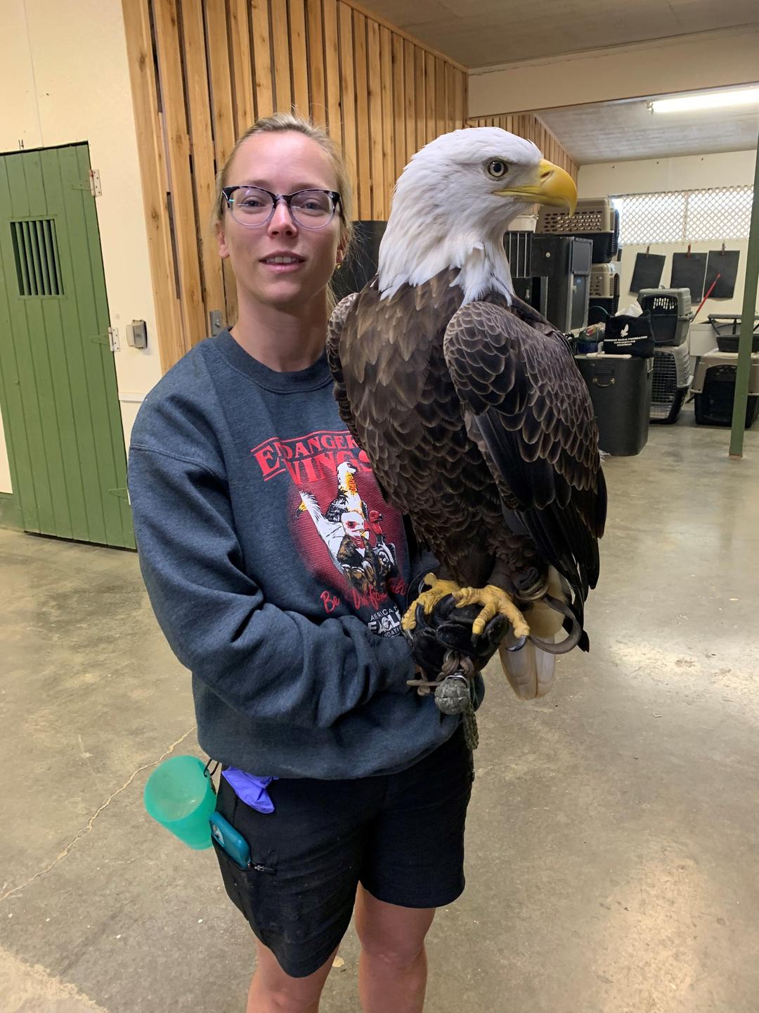 Eine junge blonde Frau in Sweater und kurzer Hose hält auf ihrer behandschuhten Hand den großen Adler.
