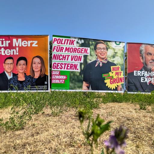 Drei große Wahlplakate nebeneinander an einer Wiese: BSW mit der Aufschrift „K.O. für Merz im Osten!", Grüne mit „Politik für morgen. Nicht von gestern." und SPD mit „Erfahrung statt Experimente" und dem Kandidaten Armin Willingmann.