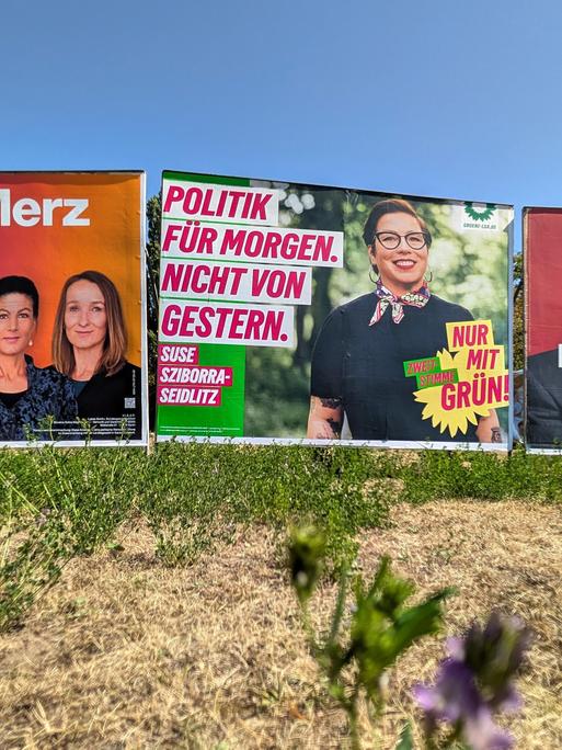 Drei große Wahlplakate nebeneinander an einer Wiese: BSW mit der Aufschrift „K.O. für Merz im Osten!", Grüne mit „Politik für morgen. Nicht von gestern." und SPD mit „Erfahrung statt Experimente" und dem Kandidaten Armin Willingmann.