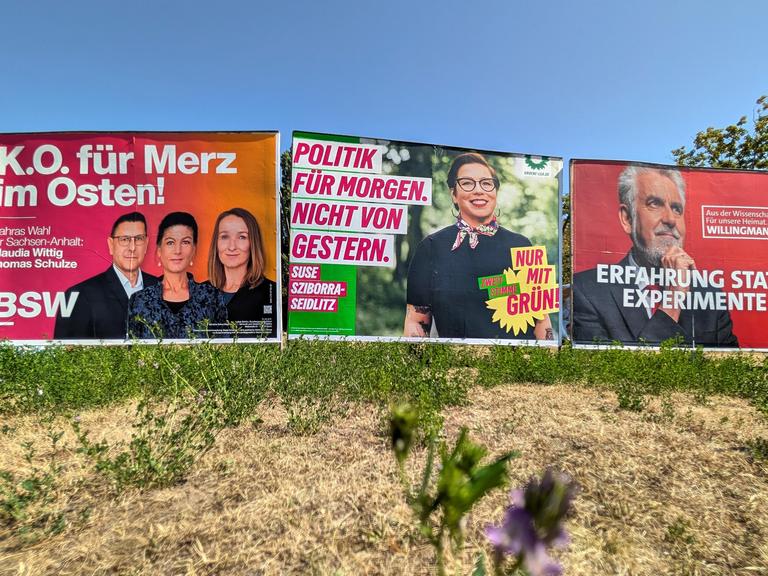 Drei große Wahlplakate nebeneinander an einer Wiese: BSW mit der Aufschrift „K.O. für Merz im Osten!", Grüne mit „Politik für morgen. Nicht von gestern." und SPD mit „Erfahrung statt Experimente" und dem Kandidaten Armin Willingmann.