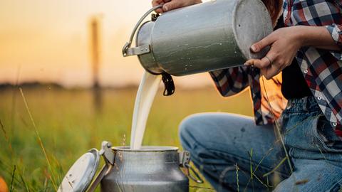 Eine junge Frau hockt in Jeans und Karohemd auf einem Feld und gießt Rohmilch aus einer kleinen Kanne in eine große Milchkanne.