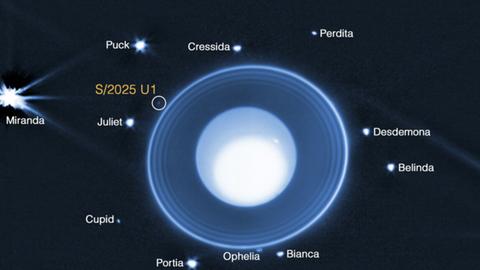 Eine Grafik zeigt Uranus mit seinen Monden. Der Mond S/2025 U1 ist Gelb markiert.