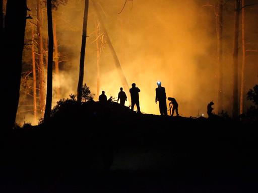 Schattenrisse von Feuerwehrmännern vor einem brennenden Wald.