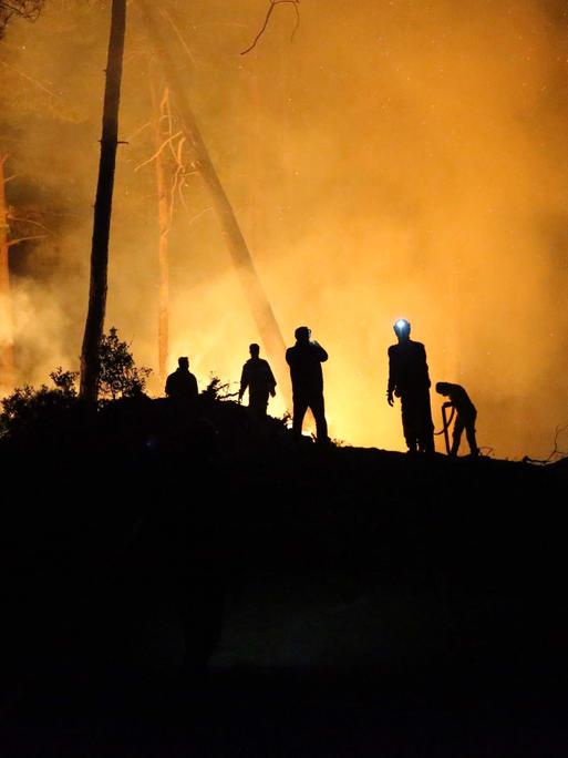 Schattenrisse von Feuerwehrmännern vor einem brennenden Wald.