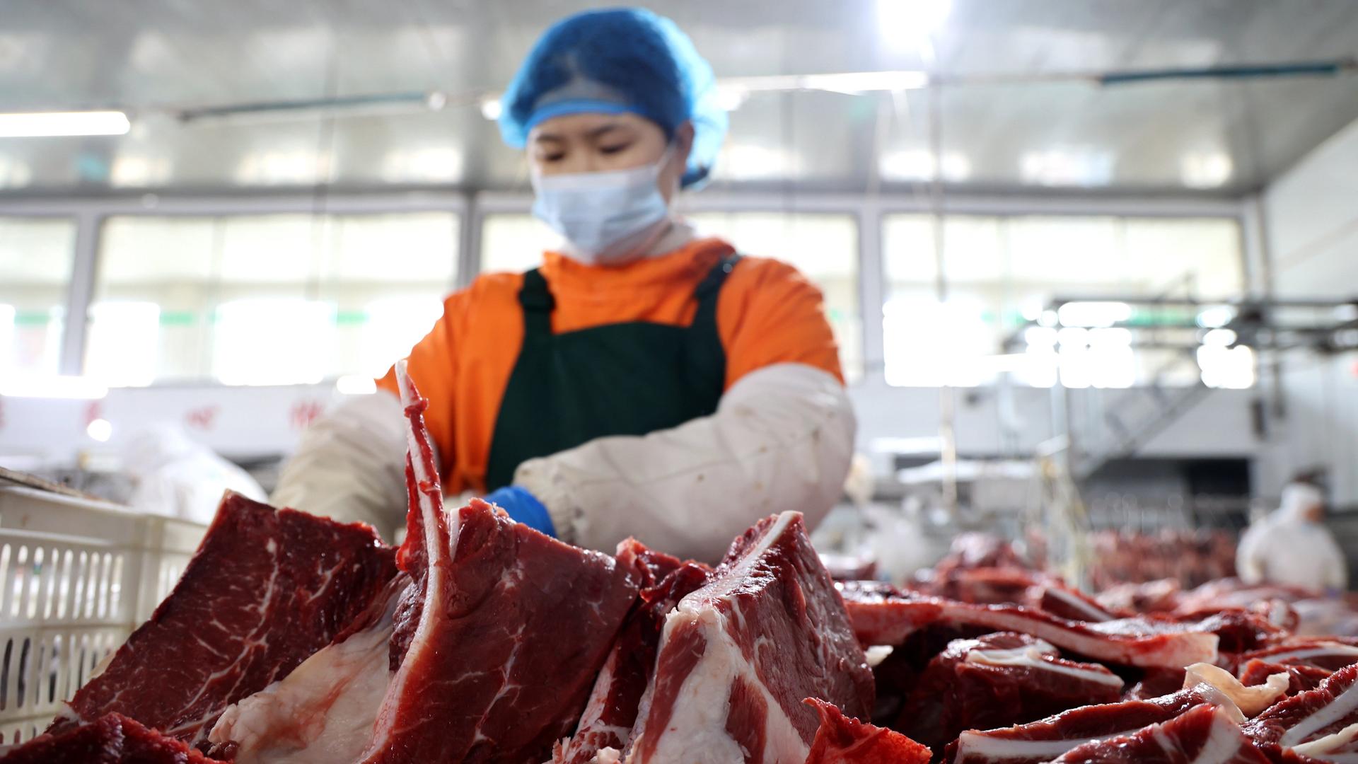 Eine Arbeiterin zerteilt Rindfleisch in der Schlachterei eines rindfleischverarbeitenden Unternehmens in Binzhou, Ostchinas Provinz Shandong.