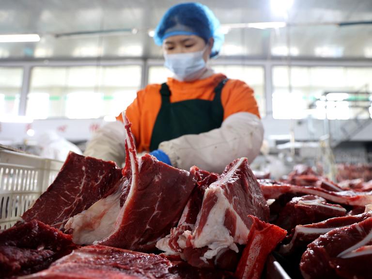 Eine Arbeiterin zerteilt Rindfleisch in der Schlachterei eines rindfleischverarbeitenden Unternehmens in Binzhou, Ostchinas Provinz Shandong.