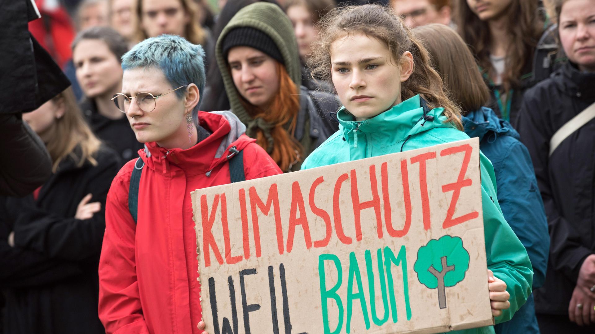 Junge Menschen demonstrieren mit Schildern für Klimabelange.