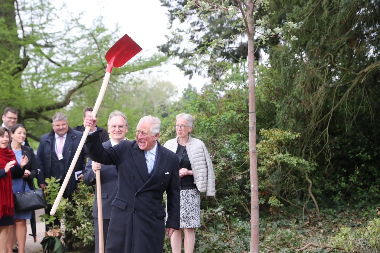 Der britische Thronfolger Prinz Charles hebt eine Schaufel in die Luft, nachdem er zuvor einen Baum im Gartenreich Dessau-Wörlitz gepflanzt hat.