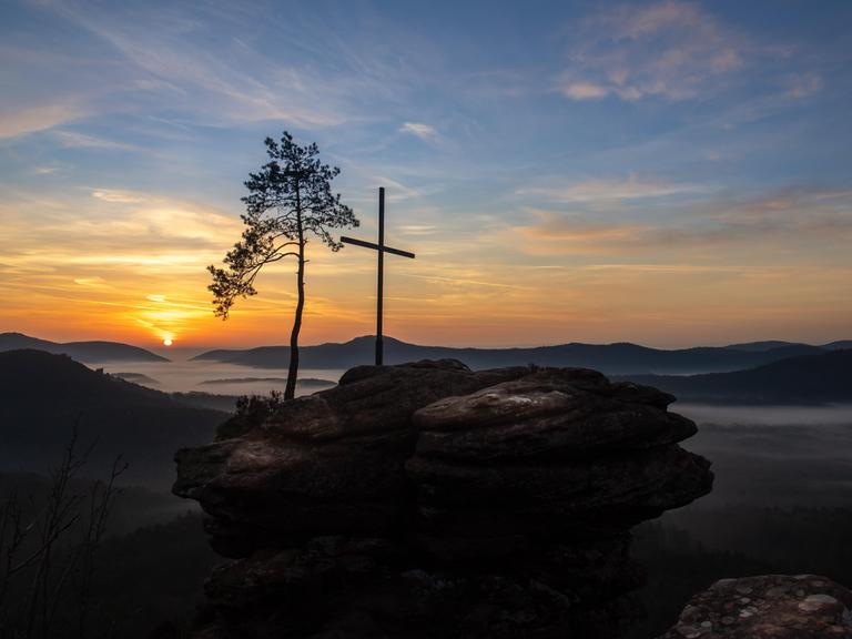 Ein beeindruckender Sonnenaufgang im Pfälzerwald, eingefangen auf einem Felsen, der aus dem morgendlichen Nebel aufragt.