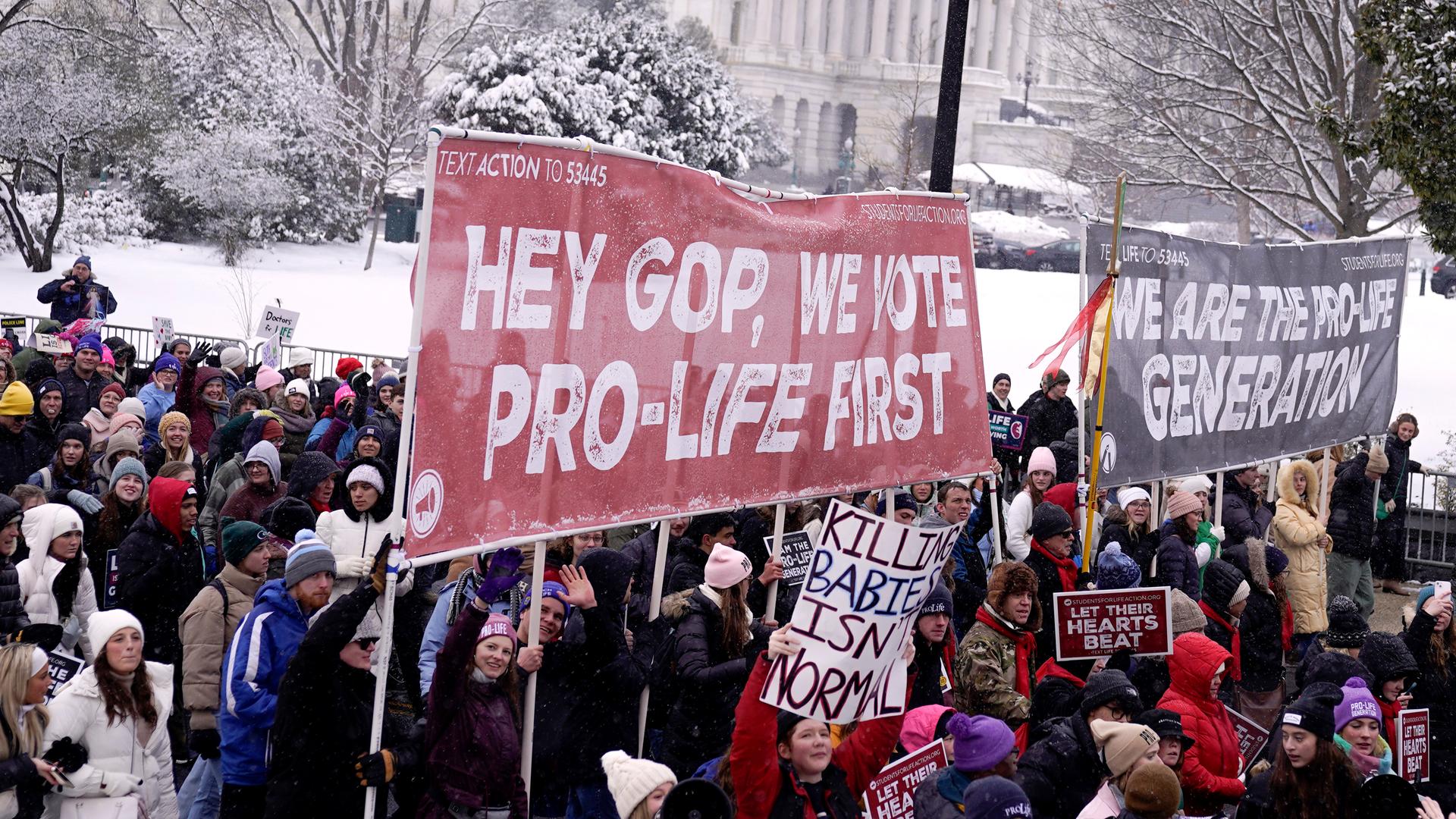 Der Demonstrationszug mit vielen Menschen zieht am Weißen Haus vorbei, das man im Hintergrund hinter einem schneebedeckten Rasen sieht. Die Demonstranten tragen Transparente. Der Demonstrationszug mit vielen Menschen zieht am Weißen Haus vorbei, das man im Hintergrund hinter einem schneebedeckten Rasen sieht. Die Demonstranten tragen Transparente.