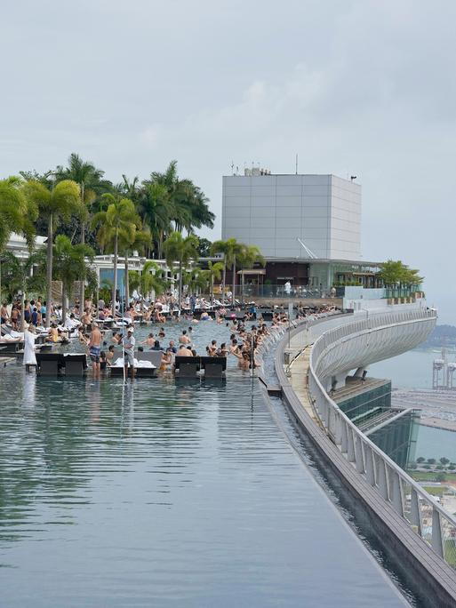 Blick auf die Dachterrasse eines Luxus-Hotels in Singapur. Menschen liegen an einem Pool, es sind diverse Palmen zu sehen. 
