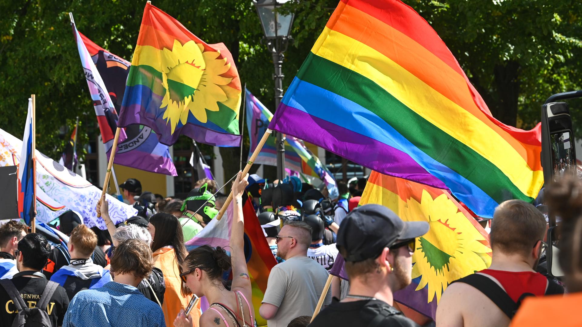 Ein Teil der Parade. Manche Teilnehmer schwenken große Fahnen in den Regenbogenfarben. Dahinter Bäume.