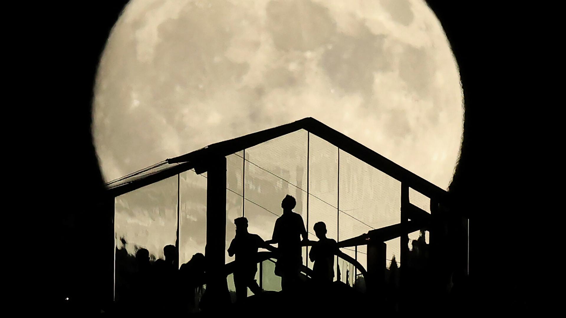 Menschen betrachten in Tokio von einer Plattform aus den Vollmond. Dabei sieht man ihre dunklen Silhouetten vor dem hellen Mond. Menschen betrachten in Tokio von einer Plattform aus den Vollmond. Dabei sieht man ihre dunklen Silhouetten vor dem hellen Mond.