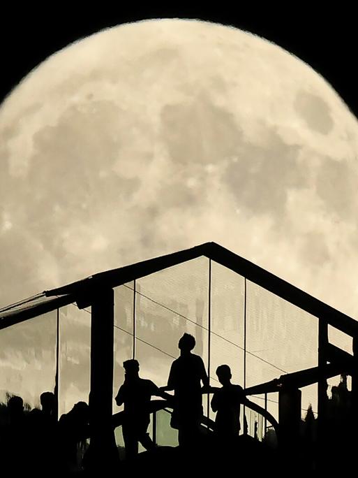 Menschen betrachten in Tokio von einer Plattform aus den Vollmond. Dabei sieht man ihre dunklen Silhouetten vor dem hellen Mond. Menschen betrachten in Tokio von einer Plattform aus den Vollmond. Dabei sieht man ihre dunklen Silhouetten vor dem hellen Mond.