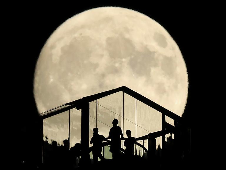 Menschen betrachten in Tokio von einer Plattform aus den Vollmond. Dabei sieht man ihre dunklen Silhouetten vor dem hellen Mond. Menschen betrachten in Tokio von einer Plattform aus den Vollmond. Dabei sieht man ihre dunklen Silhouetten vor dem hellen Mond.