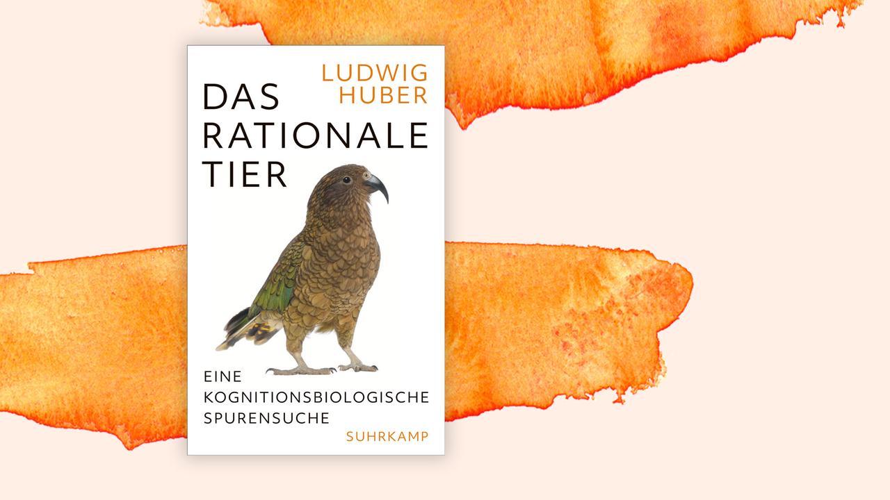 Das Cover des Buches von Ludwig Huber, "Das rationale Tier", auf orange-weißem Grund. Das Buch zeigt neben dem Namen des Autors und dem Titel einen Vogel auf weißem Grund. Das Buch ist auf der Sachbuchbestenliste von Deutschlandfunk Kultur, ZDF und "Die Zeit.