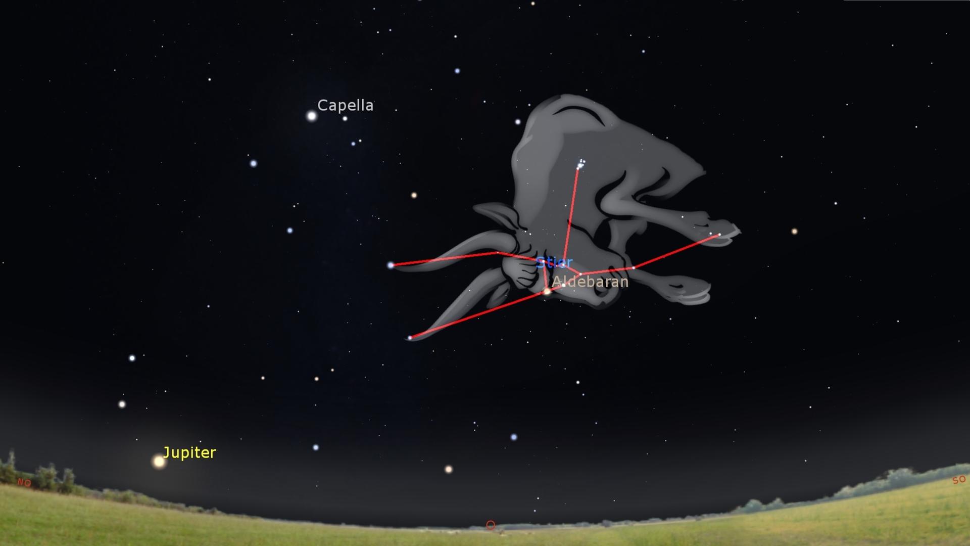 Nach 18 Uhr steigt der Stier am Osthimmel auf. Er schnaubt Richtung Osthorizont und will offenbar den gerade aufgehenden Orion oder den Planeten Jupiter auf die Hörner nehmen. Nach 18 Uhr steigt der Stier am Osthimmel auf. Er schnaubt Richtung Osthorizont und will offenbar den gerade aufgehenden Orion oder den Planeten Jupiter auf die Hörner nehmen.