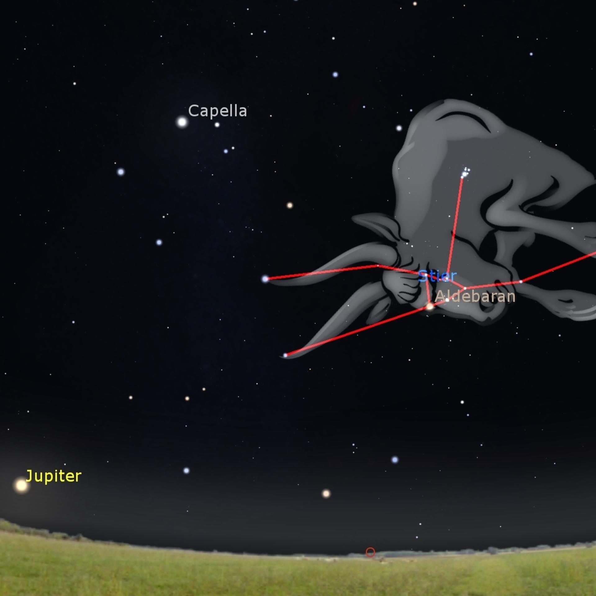 Sternbild und Mythos - Europa, Zeus und der wunderschöne Stier