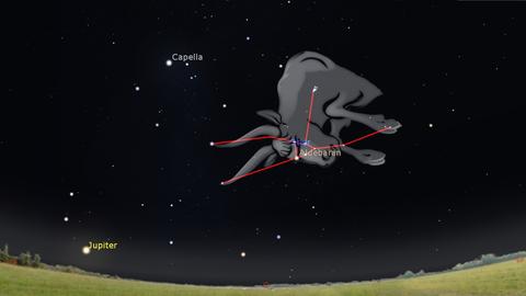 Nach 18 Uhr steigt der Stier am Osthimmel auf. Er schnaubt Richtung Osthorizont und will offenbar den gerade aufgehenden Orion oder den Planeten Jupiter auf die Hörner nehmen.