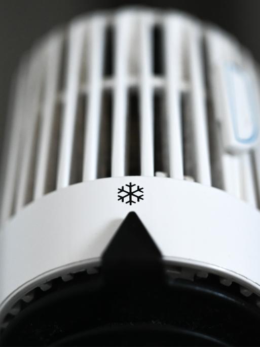 Der Thermostat an einer Heizung steht auf dem Symbol Frost