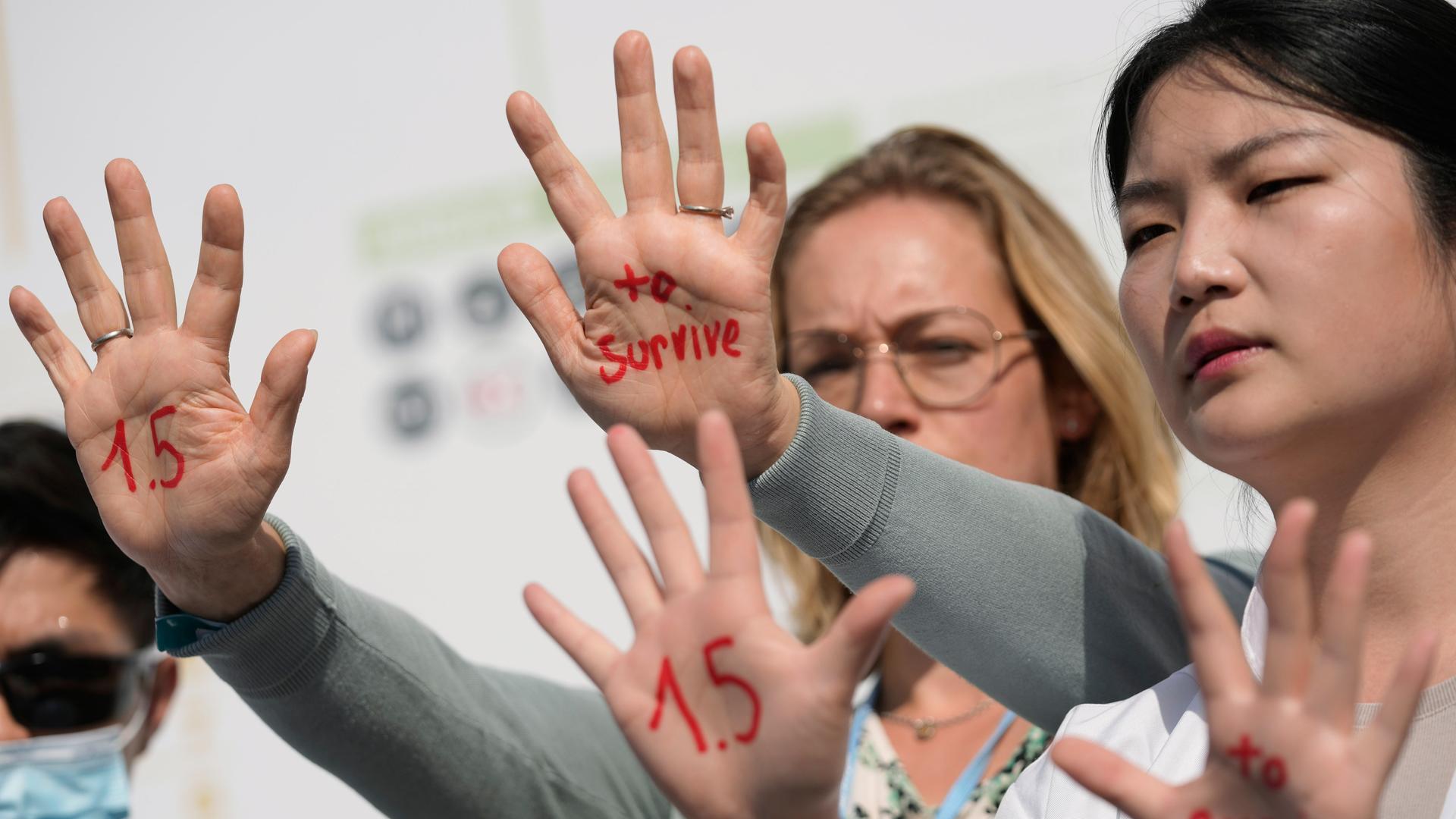 Demonstrators advocate for the 1.5 degree warming goal to survive at the COP27 U.N. Climate Summit, Wednesday, Nov. 16, 2022, in Sharm el-Sheikh, Egypt. (AP Photo/Peter Dejong) Demonstrators advocate for the 1.5 degree warming goal to survive at the COP27 U.N. Climate Summit, Wednesday, Nov. 16, 2022, in Sharm el-Sheikh, Egypt. (AP Photo/Peter Dejong)