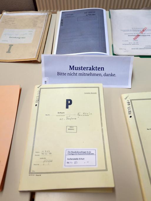 Muster von Stasi-Akten liegen auf einem Tisch