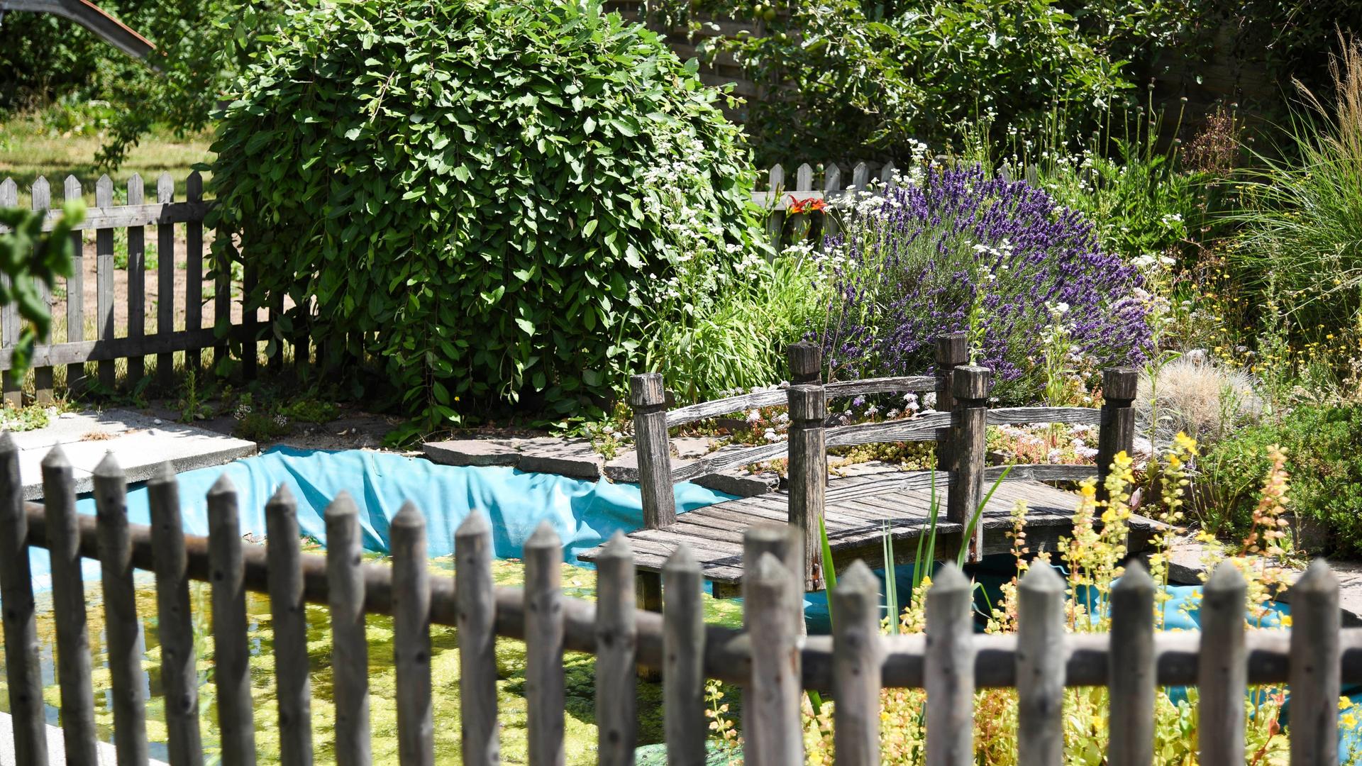 Demenz: Erinnerungen wachrufen durch Gartengestaltung