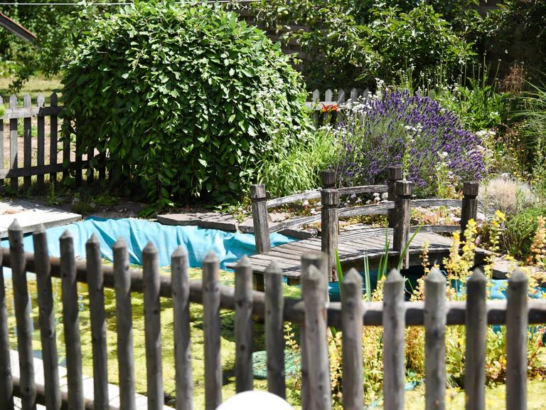 Ein Garten mit Zauneinfassung und einer Holzbrücke