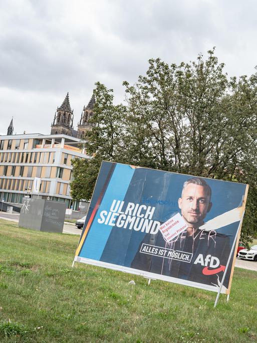 Beschädigtes Wahlplakat der AfD in Magdeburg Beschädigtes Wahlplakat der AfD in Magdeburg